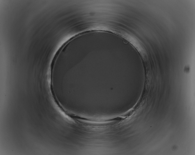 X0000102491084200808081323