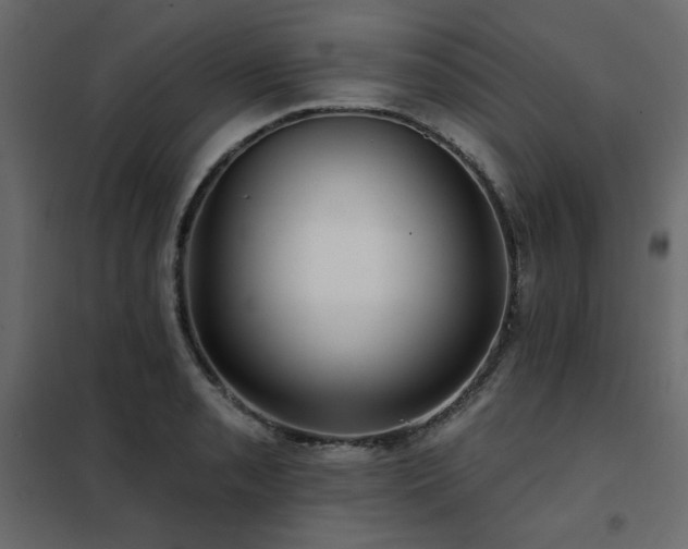 X0000102491085200808081323