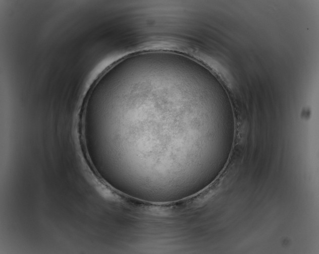 X0000102491086200808081323