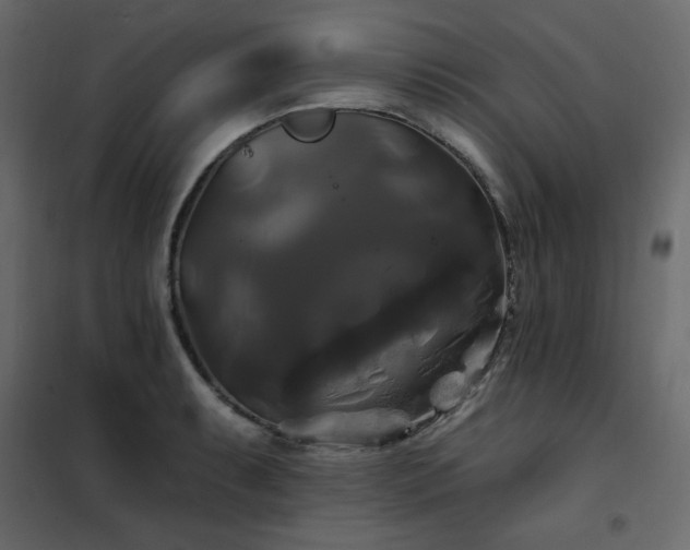 X0000102491087200808081323
