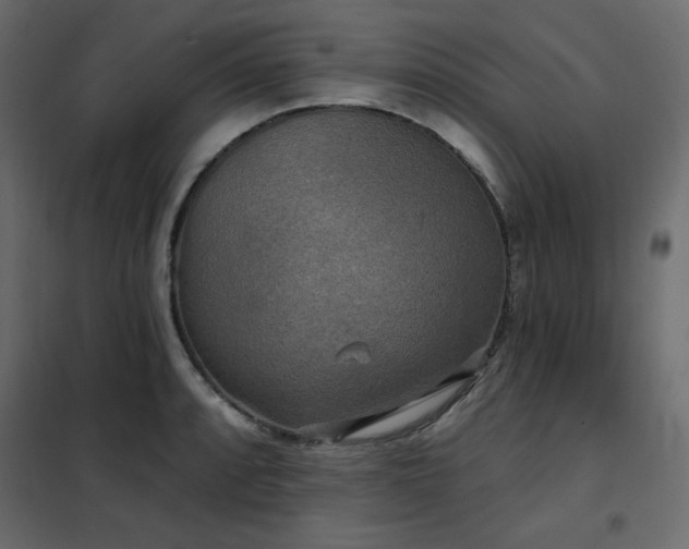 X0000102491088200808081323