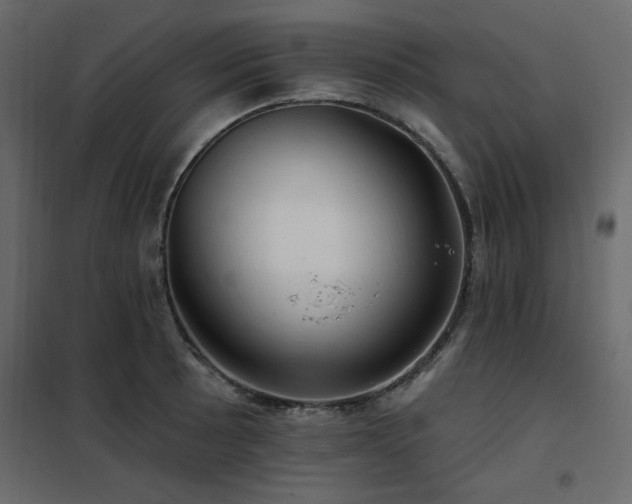 X0000102491089200808081323