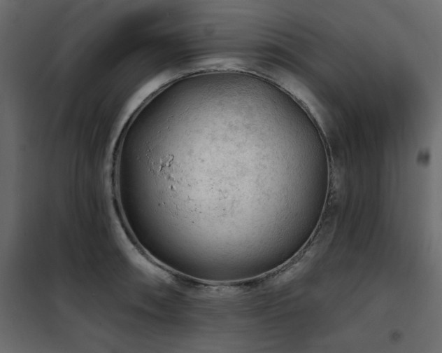 X0000102491090200808081323