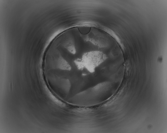 X0000102491091200808081323