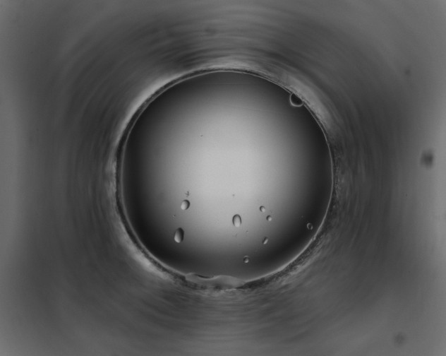 X0000102491092200808081323
