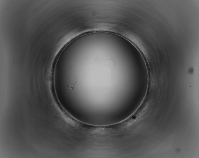 X0000102491093200808081323