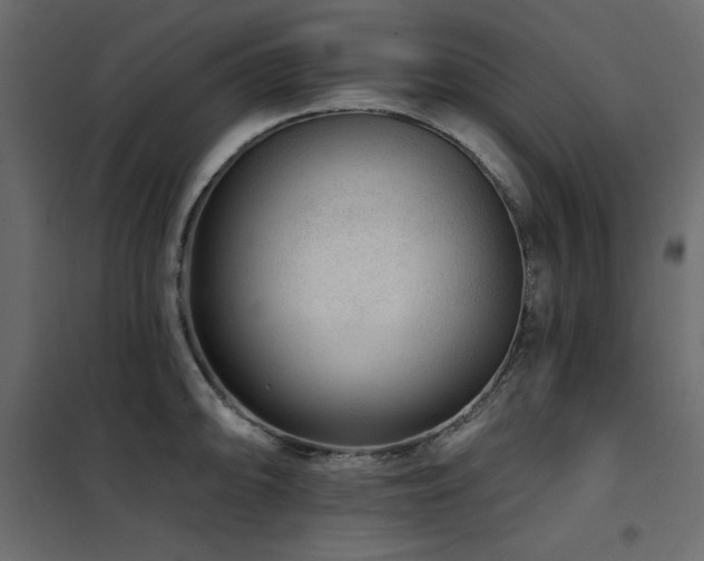 X0000102491094200808081323