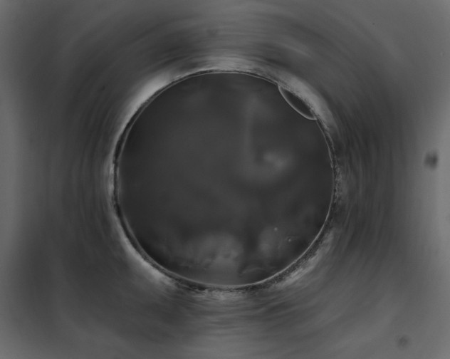 X0000102491095200808081323