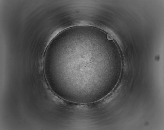 X0000102491097200808081323