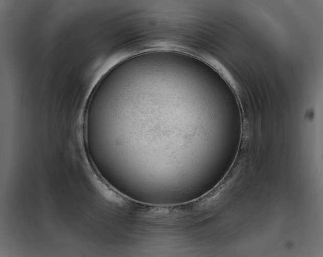 X0000102491098200808081323