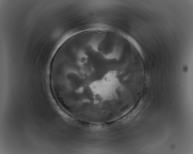 X0000102491099200808081323