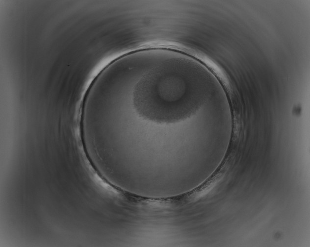 X0000102491102200808081323