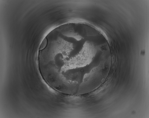 X0000102491103200808081323