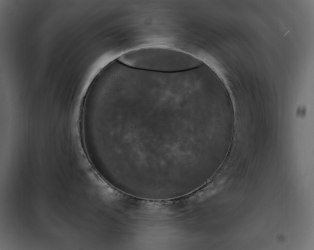 X0000102491104200808081323