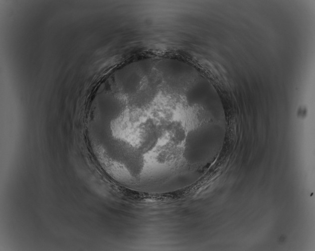 X0000102491105200808081322