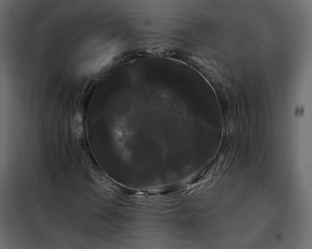 X0000102491106200808081322