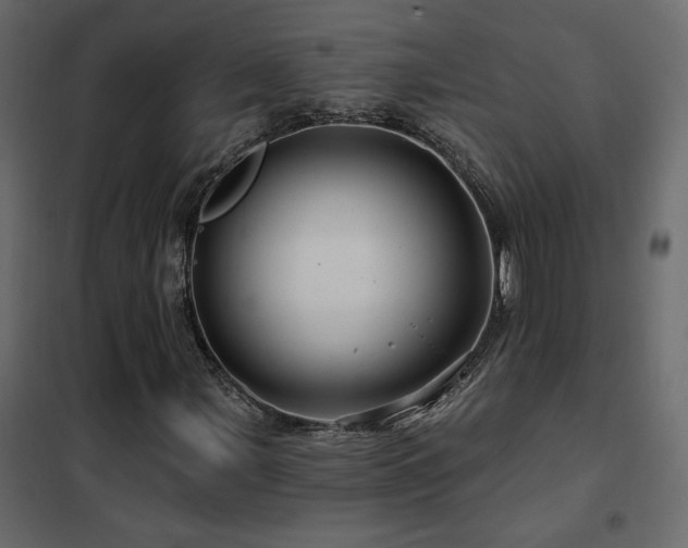 X0000102491107200808081322