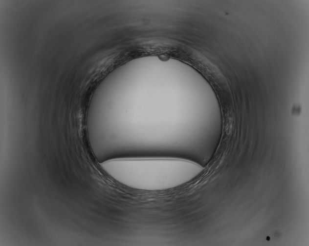 X0000102491108200808081322