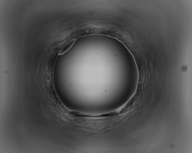 X0000102491109200808081322