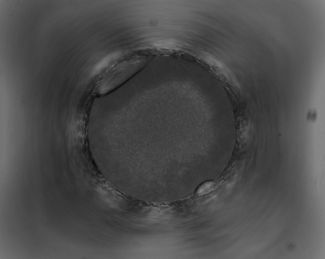 X0000102491110200808081322