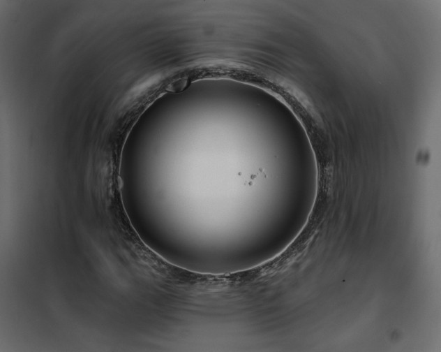 X0000102491111200808081322