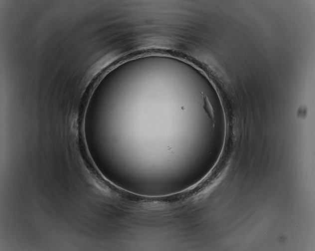 X0000102491113200808081322