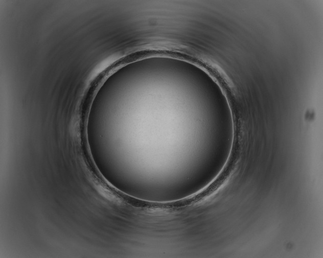 X0000102491114200808081322
