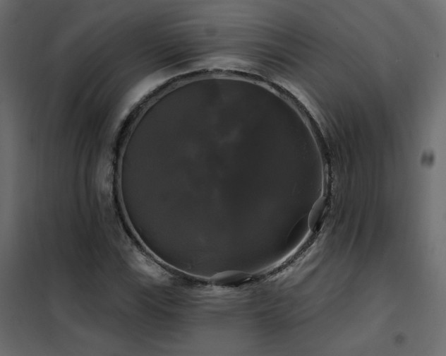 X0000102491115200808081322