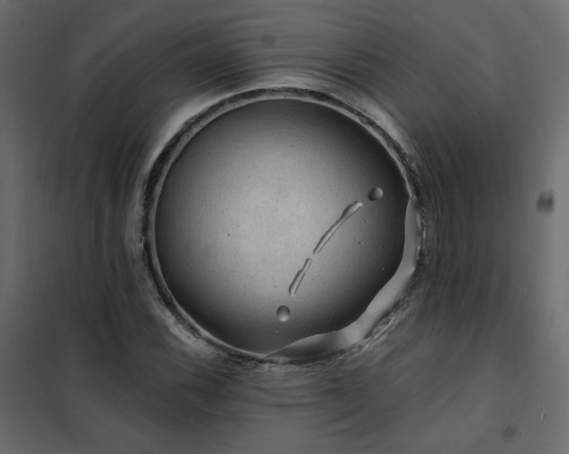 X0000102491116200808081322