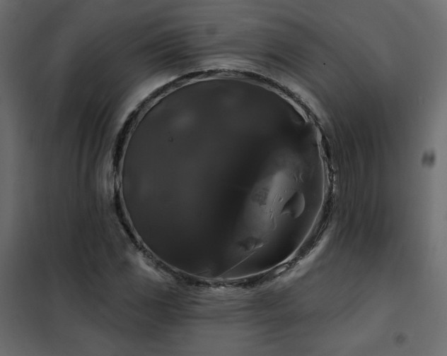 X0000102491117200808081322