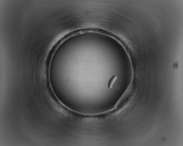 X0000102491118200808081322