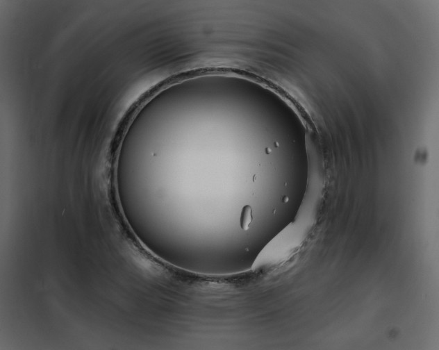 X0000102491119200808081322