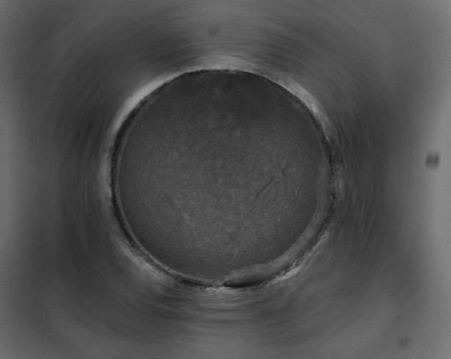 X0000102491120200808081322