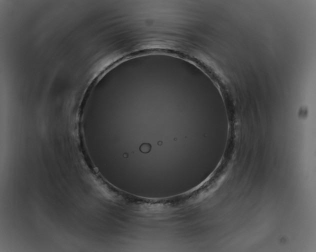 X0000102491121200808081322