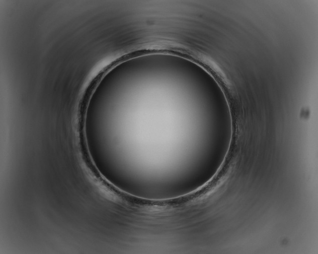X0000102491122200808081322