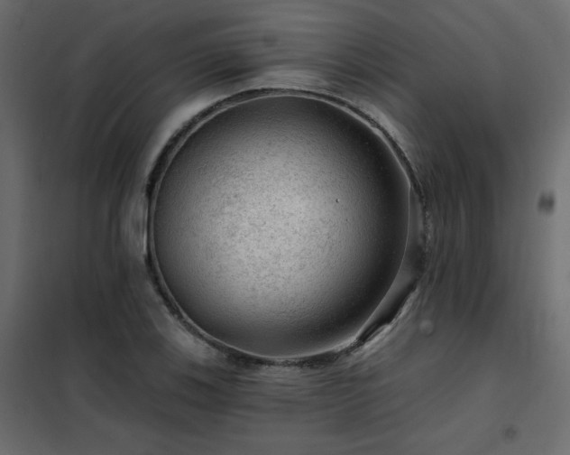 X0000102491123200808081322