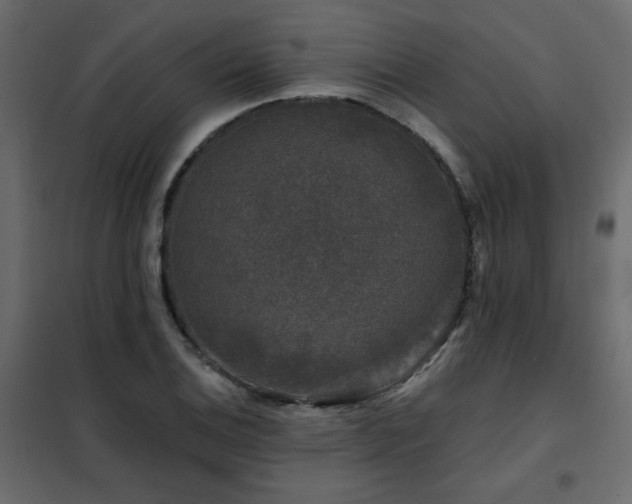 X0000102491124200808081322