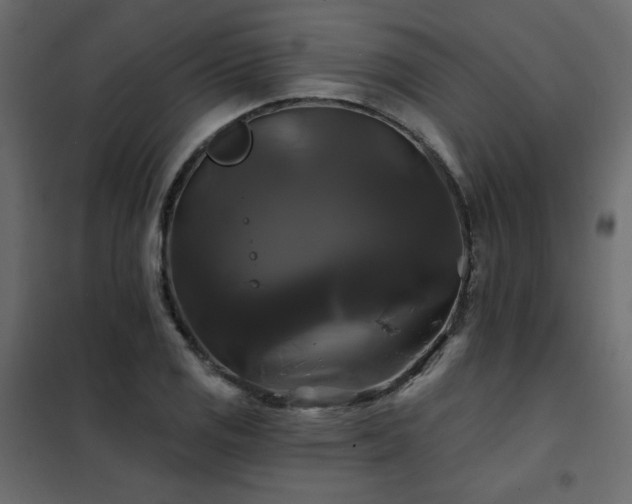 X0000102491125200808081322