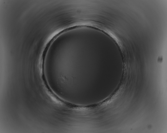 X0000102491127200808081322