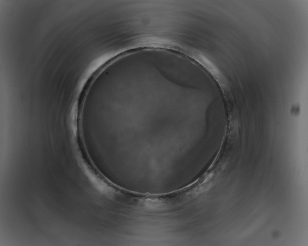 X0000102491128200808081322