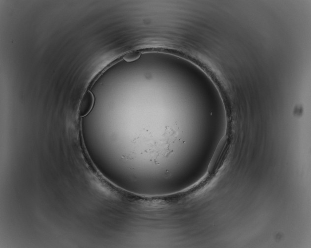 X0000102491129200808081322