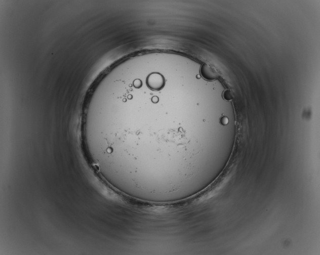 X0000102491130200808081322