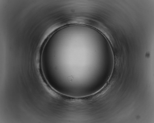 X0000102491131200808081322
