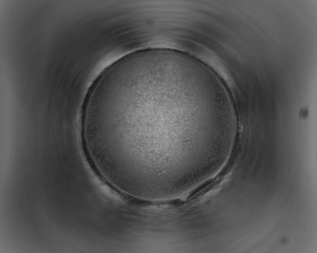 X0000102491133200808081322