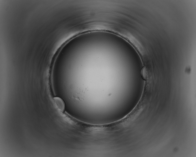 X0000102491134200808081322