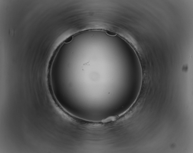 X0000102491135200808081322