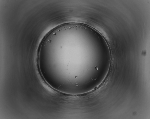 X0000102491136200808081322