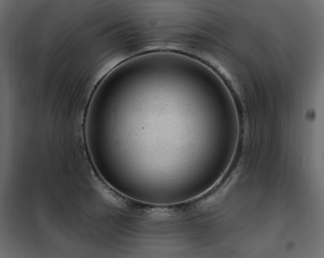 X0000102491137200808081322