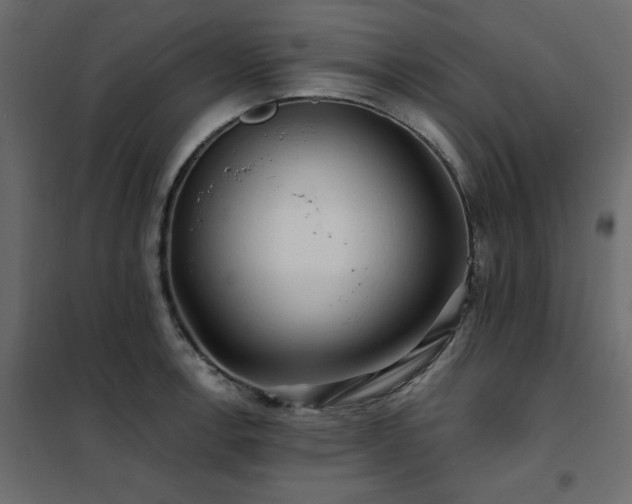 X0000102491138200808081322