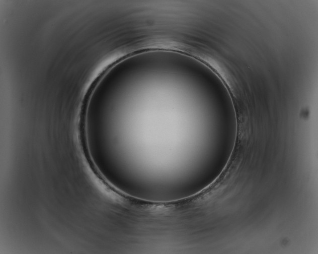 X0000102491139200808081322